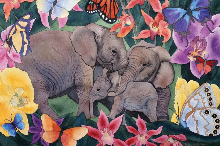 Elephants and Butterflies