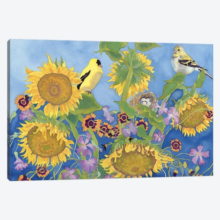 Goldfinches With Sunflowers Canvas Print #CLU63} by Carissa Luminess Canvas Wall Art