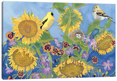 Goldfinches With Sunflowers Canvas Art Print - Carissa Luminess