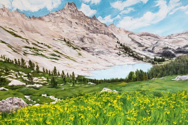 Coleman Senecal: Until All Are Free by Coleman Senecal