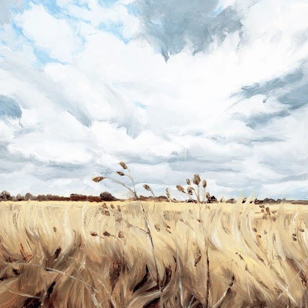 Coleman Senecal: Hush Of Expectation by Coleman Senecal