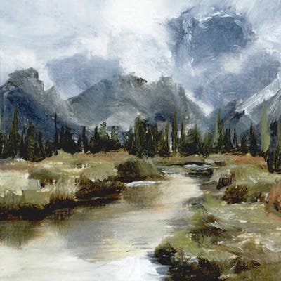 Mountain Stream by Coleman Senecal framed canvas print