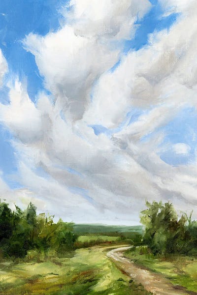 My Heart Soars by Coleman Senecal framed wall art