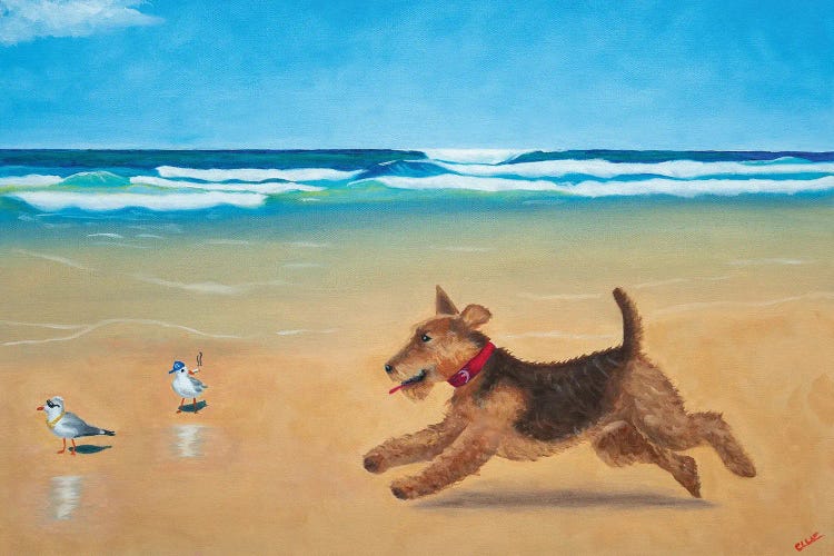 Murphy And The Cool Birds