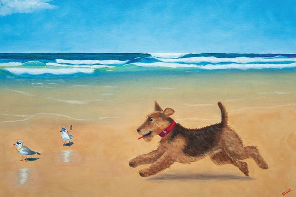 Carol Luz: Murphy And The Cool Birds by Carol Luz