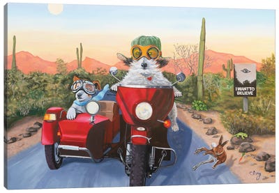 Sidecaring In Arizona Canvas Art Print - Desert Art