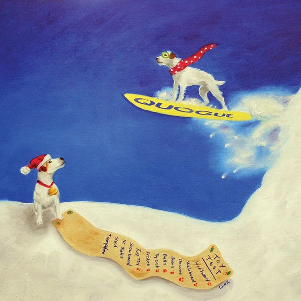 Carol Luz: Testing The Toys by Carol Luz