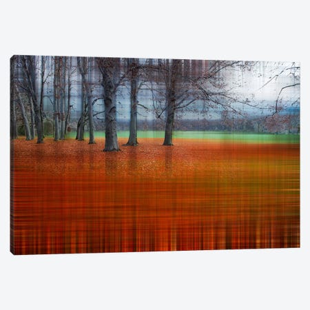 Abstract Autumn Canvas Print #CMA1} by Hannes Cmarits Canvas Print