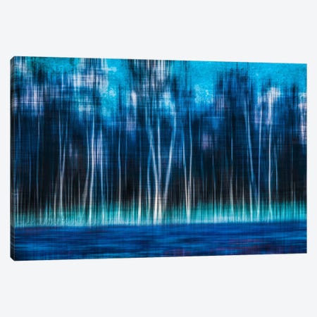 Mystic Forest Canvas Print #CMA5} by Hannes Cmarits Canvas Art