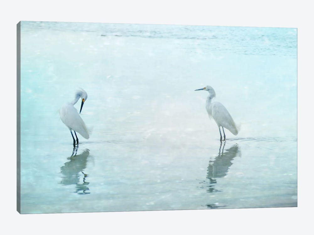 White Cranes by Hannes Cmarits 1-piece Canvas Print