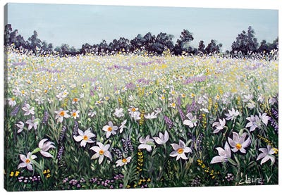 Narcisses Canvas Art Print - Claire Morand