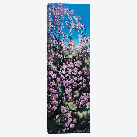 Le Prunus Du Jardin Canvas Print #CMD40} by Claire Morand Canvas Artwork