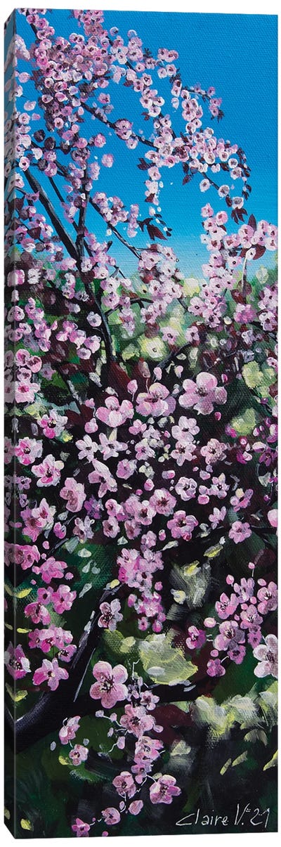 Le Prunus Du Jardin Canvas Art Print