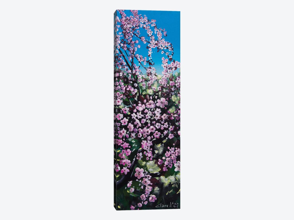 Le Prunus Du Jardin by Claire Morand 1-piece Canvas Art Print