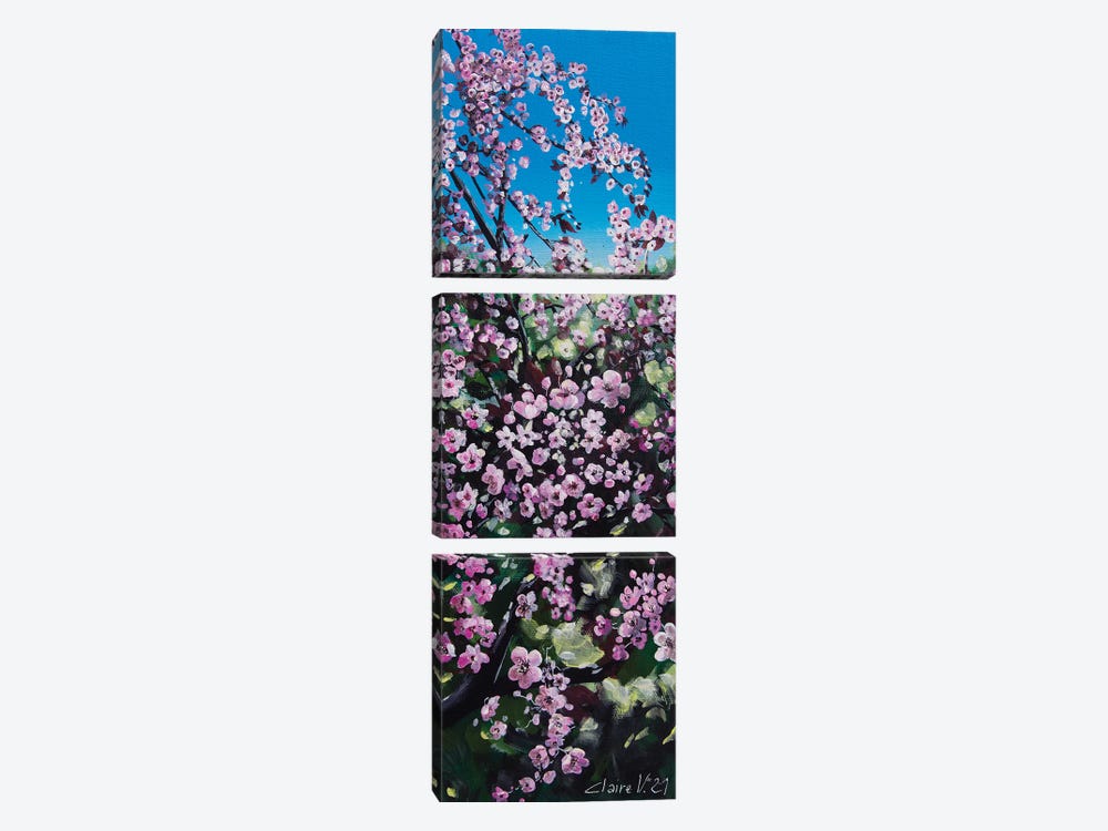 Le Prunus Du Jardin by Claire Morand 3-piece Canvas Art Print