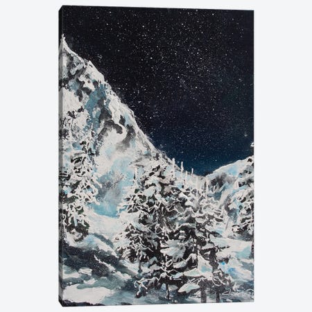 Freezing Night Canvas Print #CMD47} by Claire Morand Art Print
