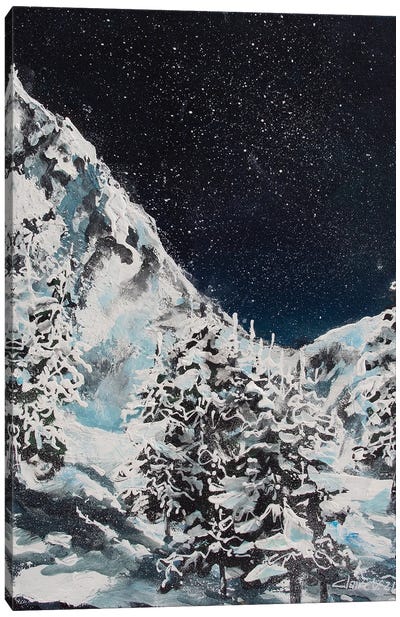 Freezing Night Canvas Art Print - Snow Art