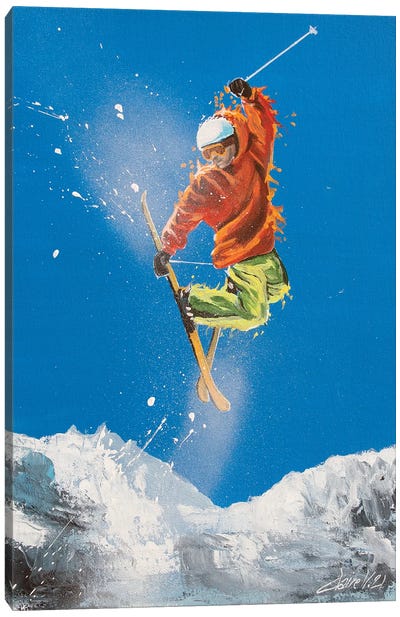 Freestyle Canvas Art Print - Snowy Mountain Art