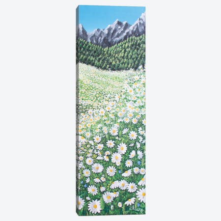 Daisies Canvas Print #CMD66} by Claire Morand Art Print