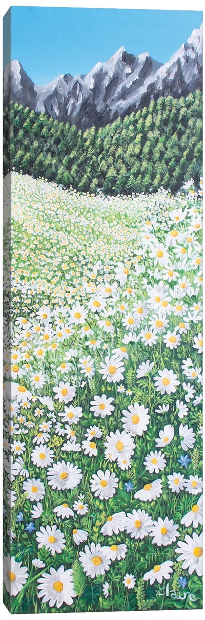 Daisies Canvas Art Print - Claire Morand
