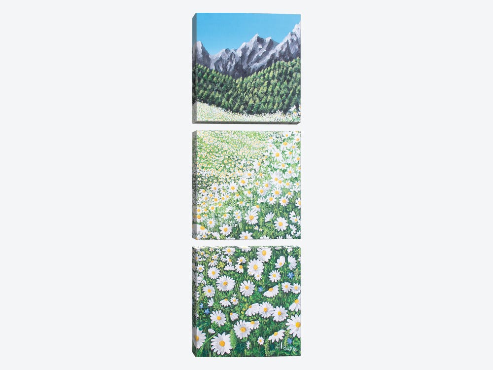 Daisies by Claire Morand 3-piece Canvas Art Print