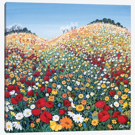 A Floral Symphony Canvas Print #CMD67} by Claire Morand Canvas Art Print