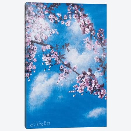 Cherry Blossoms Canvas Print #CMD71} by Claire Morand Canvas Art Print