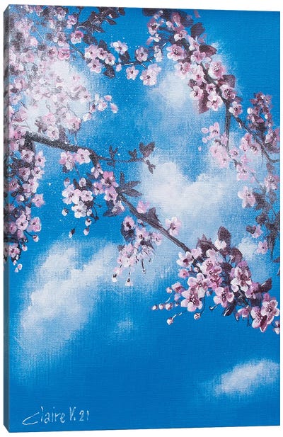 Cherry Blossoms Canvas Art Print - Claire Morand