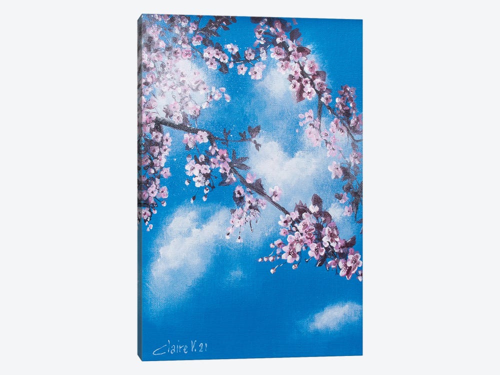 Cherry Blossoms by Claire Morand 1-piece Canvas Art Print