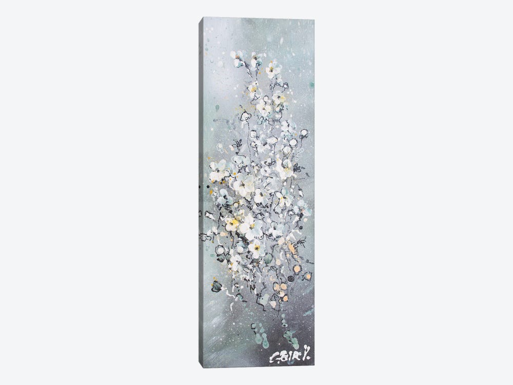 Flowers Fireworks by Claire Morand 1-piece Canvas Wall Art