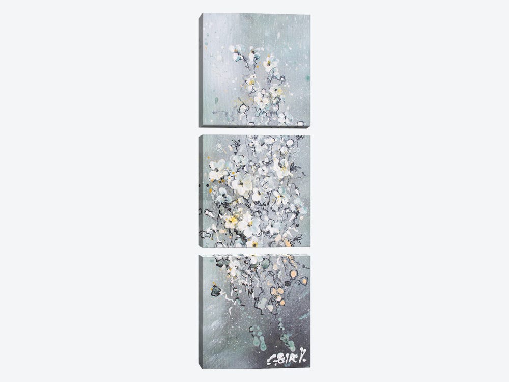 Flowers Fireworks by Claire Morand 3-piece Canvas Art