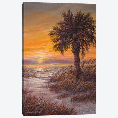 Palmetto Sunrise Canvas Print #CMF11} by Campbell Frost Art Print