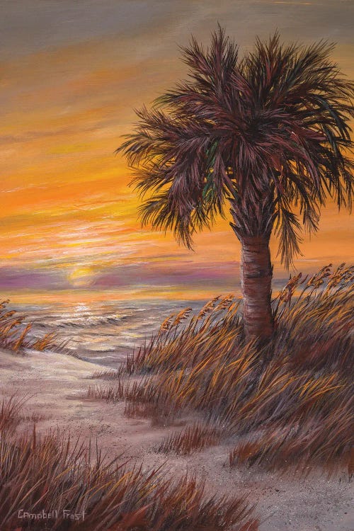 Palmetto Sunrise by Campbell Frost wall art
