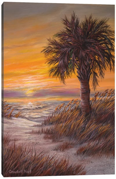 Palmetto Sunrise Canvas Art Print - Campbell Frost