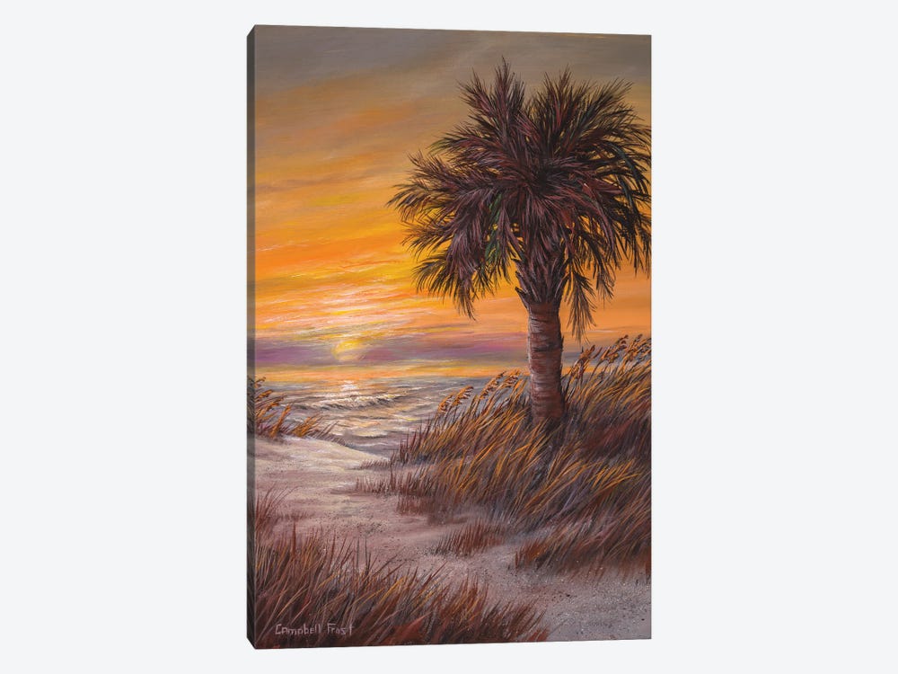Palmetto Sunrise by Campbell Frost 1-piece Canvas Artwork
