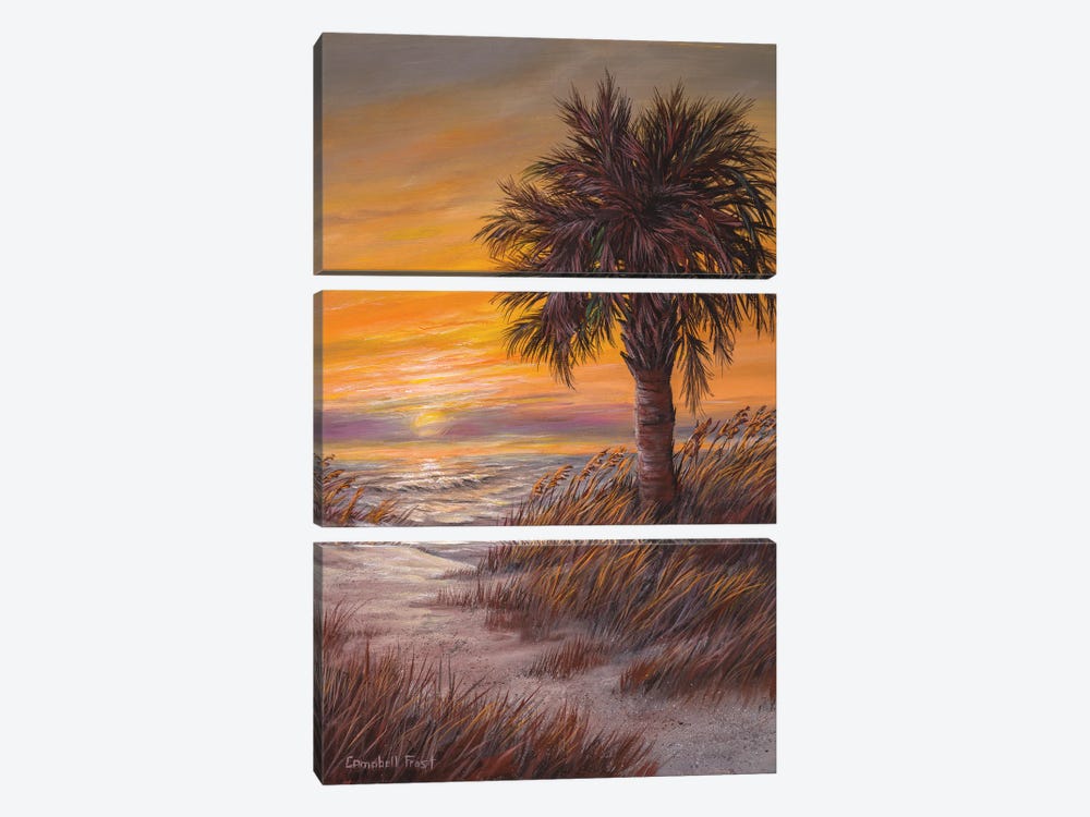 Palmetto Sunrise by Campbell Frost 3-piece Canvas Art