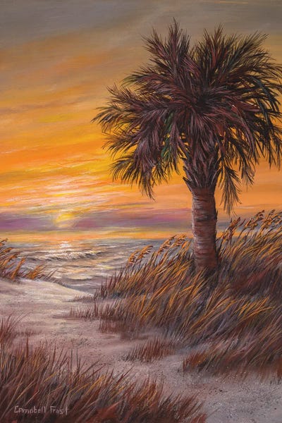 Campbell Frost: Palmetto Sunrise by Campbell Frost