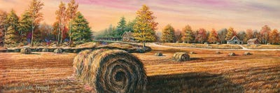Hay Field by Campbell Frost canvas print