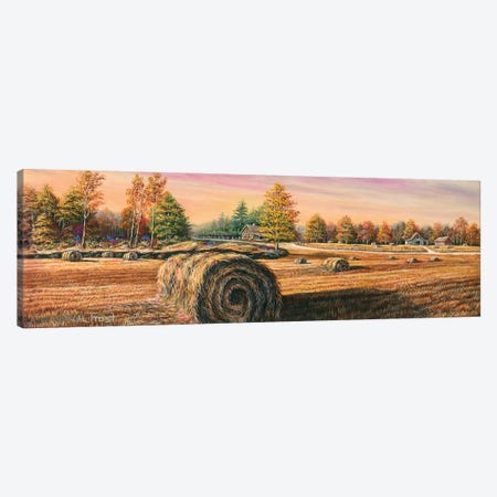 Hay Field Canvas Print #CMF12} by Campbell Frost Canvas Art Print