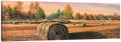 Hay Field Canvas Art Print - Campbell Frost