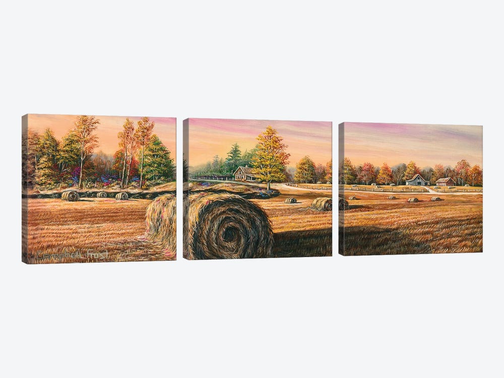 Hay Field by Campbell Frost 3-piece Canvas Print