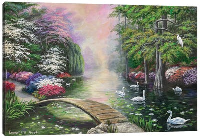 Swan Lake Canvas Art Print - Nature Lover