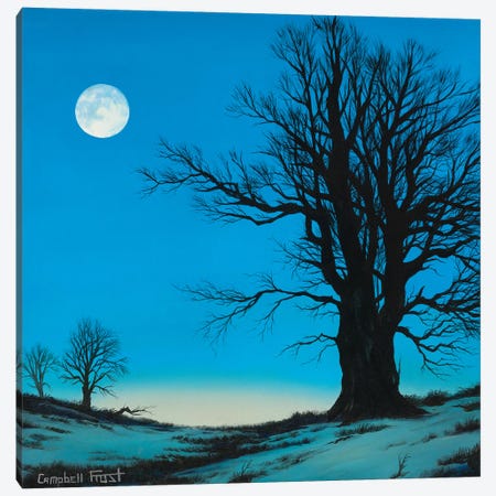 Moonscape Canvas Print #CMF1} by Campbell Frost Canvas Artwork