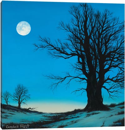 Moonscape Canvas Art Print - Campbell Frost