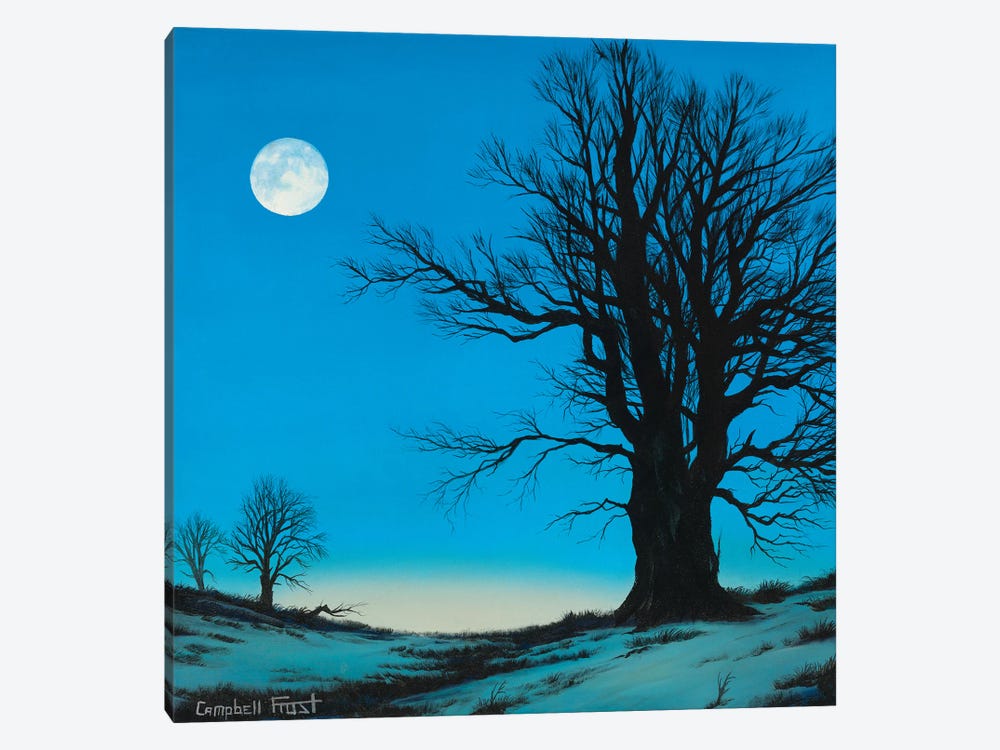 Moonscape by Campbell Frost 1-piece Art Print