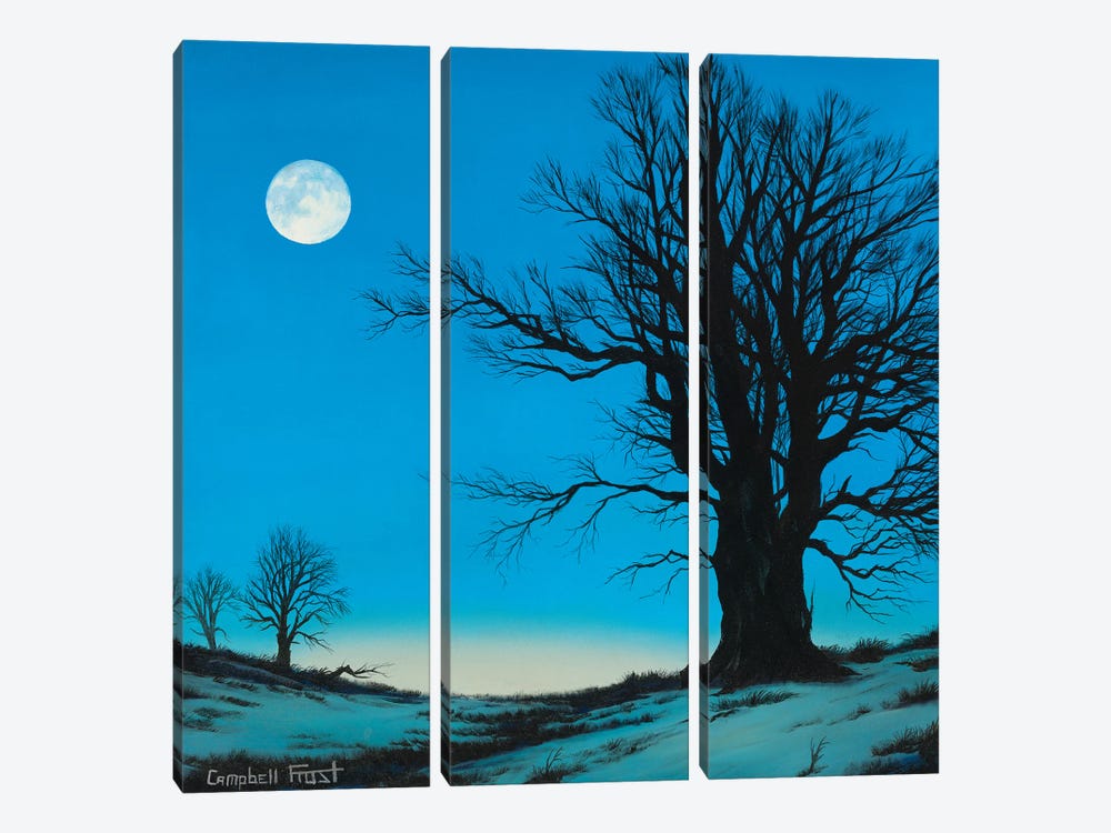Moonscape by Campbell Frost 3-piece Canvas Art Print