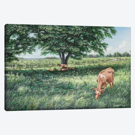 Grazing Canvas Print #CMF21} by Campbell Frost Canvas Art