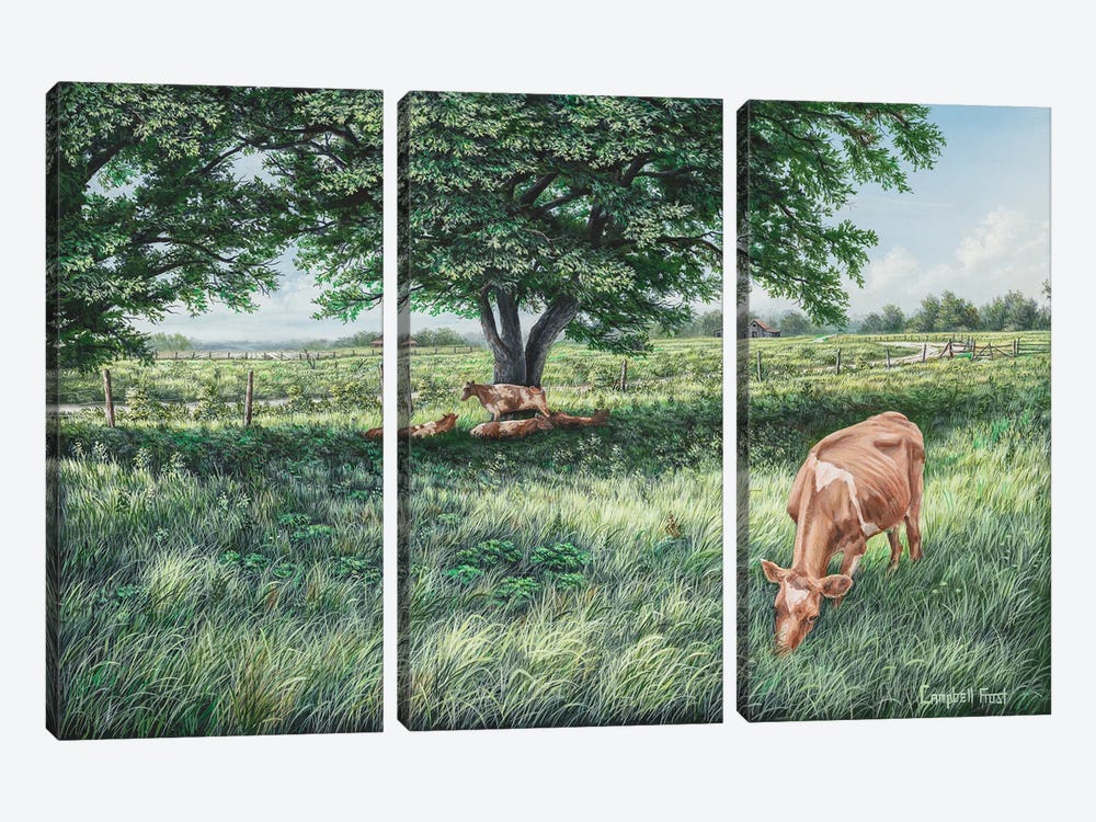 Grazing by Campbell Frost 3-piece Canvas Art Print