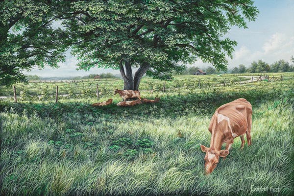 Campbell Frost: Grazing by Campbell Frost