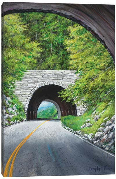 Blue Ridge Loop Canvas Art Print - Campbell Frost